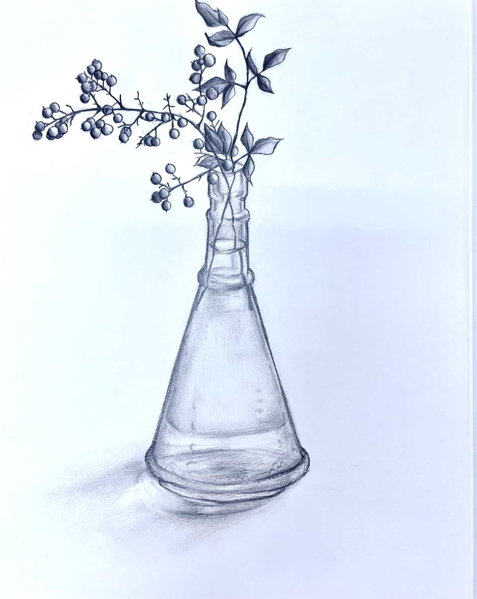 デッサン　赤い実