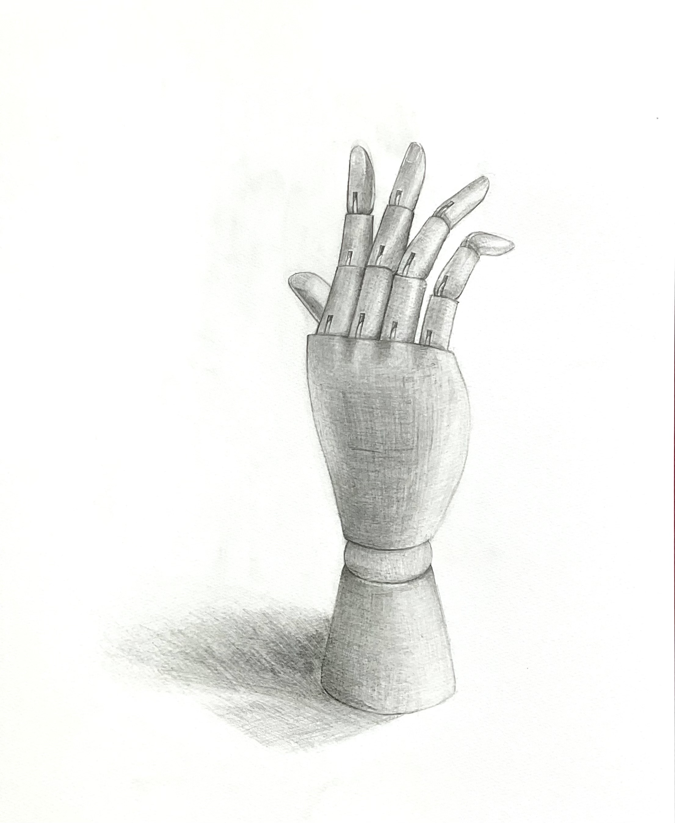 モデルー女性　手