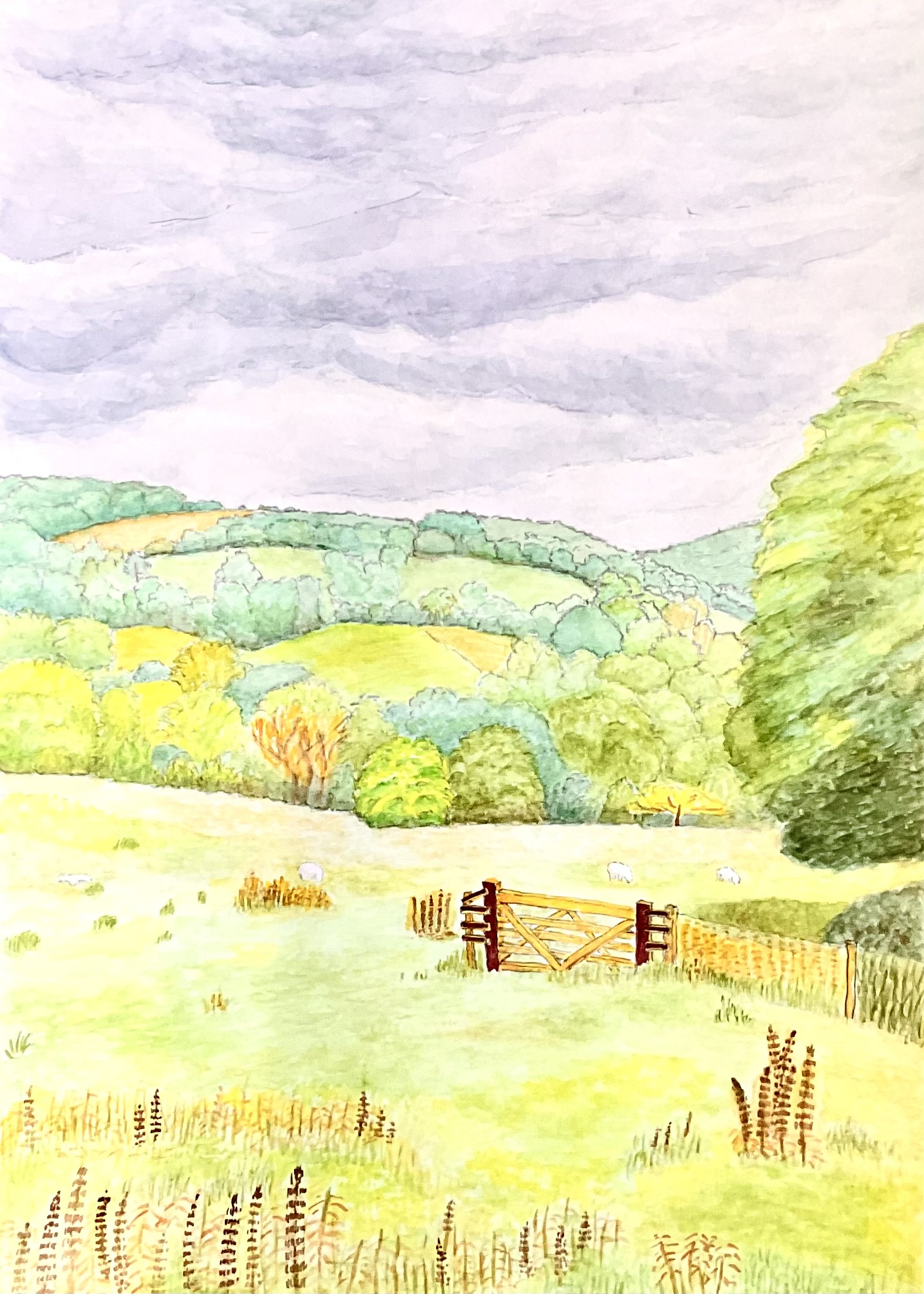 英国　田園風景　（スードリー城周辺）