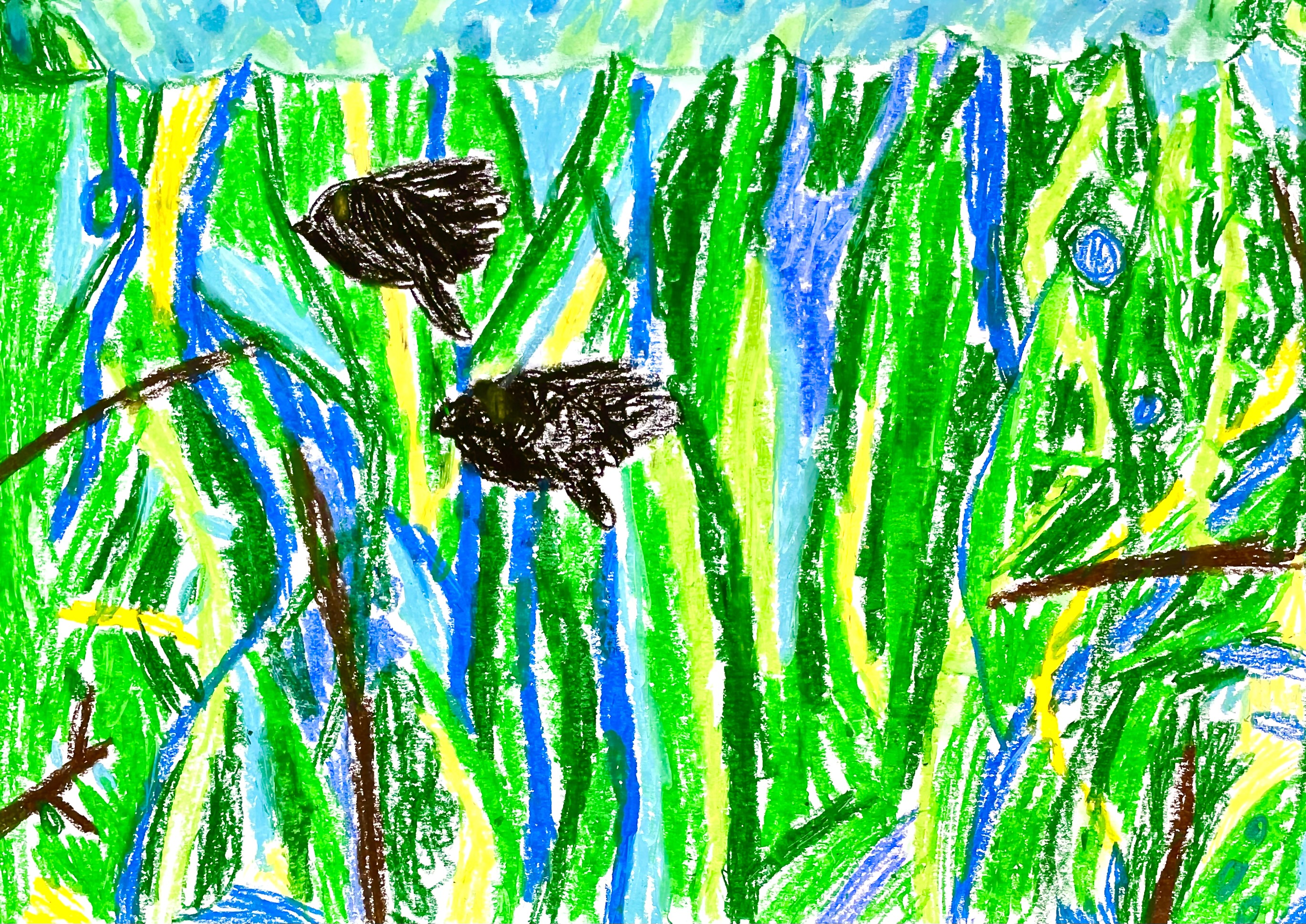 ふしぎなジャングル